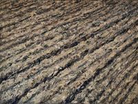 Gepflügtes Feld, Öl auf Leinwand, 80 x 60 cm, 2021